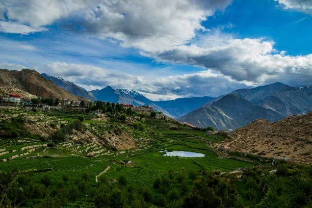 istockphoto-1393352079-612x612